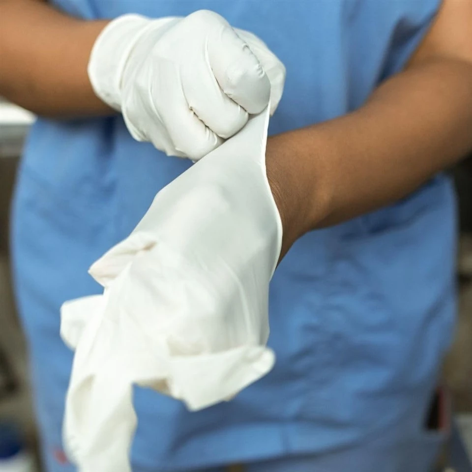 exam latex gloves